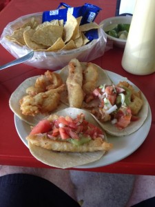 best shrimp tacos playa del carmen