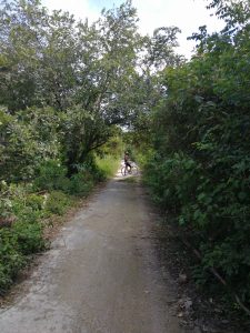 playa del carmen bike trails