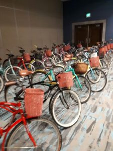 Bike Rentals In Playa del Carmen