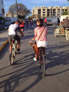 Cozumel Bike Rental